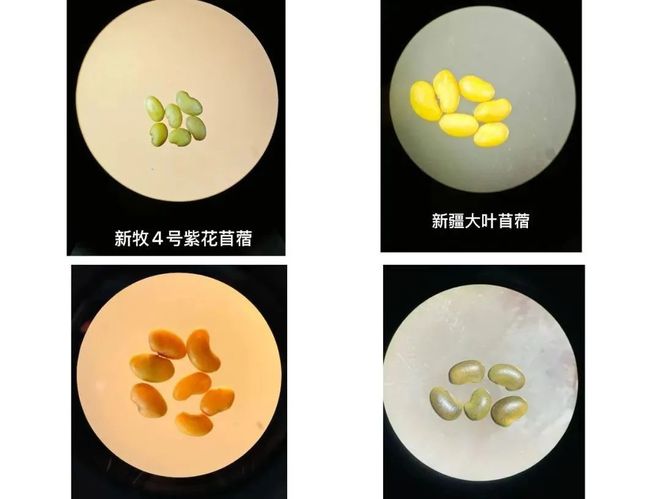 國(guó)家級(jí)管理創(chuàng)新成果航天科技集團(tuán)4項(xiàng)成果榜上有名『航天視窗』（1147）(圖2)